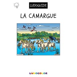 LA CAMARGUE - Tableau velours et son Ludoguide - Ludocolor