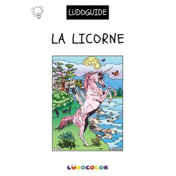 LA LICORNE CASCADE - Tableau velours et son Ludoguide - Ludocolor