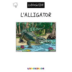 L'ALLIGATOR - Tableau velours et son Ludoguide - Ludocolor