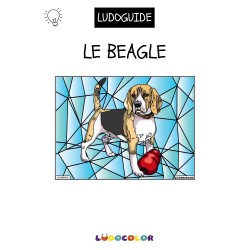 LE BEAGLE - Tableau velours et son Ludoguide - Ludocolor