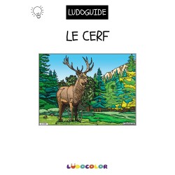 LE CERF - Tableau velours et son Ludoguide - Ludocolor