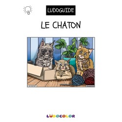 LES CHATONS - Tableau velours et son Ludoguide - Ludocolor