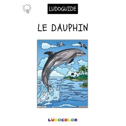 LE DAUPHIN - Tableau velours et son Ludoguide - Ludocolor