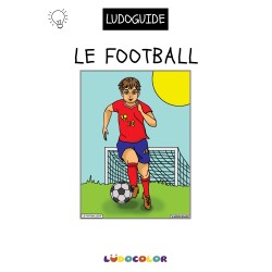 LE FOOTBALLEUR - Tableau velours et son Ludoguide - Ludocolor