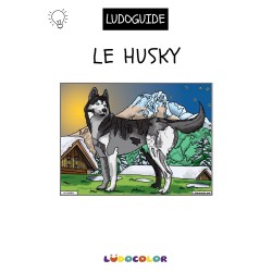 LE HUSKY - Tableau velours et son Ludoguide - Ludocolor