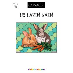 LES LAPINS - Tableau velours et son Ludoguide - Ludocolor