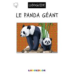 LES PANDAS - Tableau velours et son Ludoguide - Ludocolor
