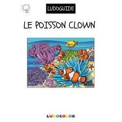 LES POISSONS CLOWNS - Tableau velours et son Ludoguide - Ludocolor