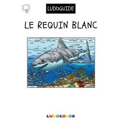 LE REQUIN - Tableau velours et son Ludoguide - Ludocolor