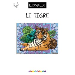 LE TIGRE - Tableau velours et son Ludoguide - Ludocolor
