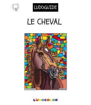 PORTRAIT DE CHEVAL - Tableau velours et son Ludoguide - Ludocolor