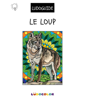 LE LOUP - Tableau velours et son Ludoguide - Ludocolor