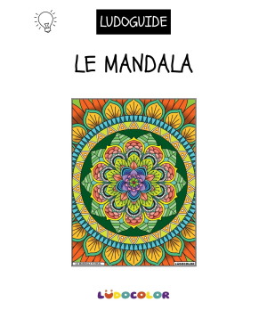 LE MANDALA FLORAL - Tableau velours et son Ludoguide - Ludocolor