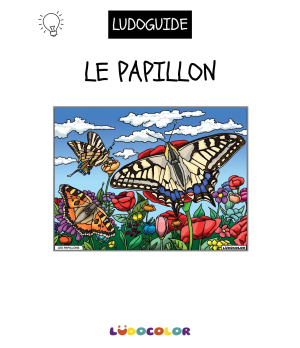 LES PAPILLONS - Tableau velours et son Ludoguide - Ludocolor