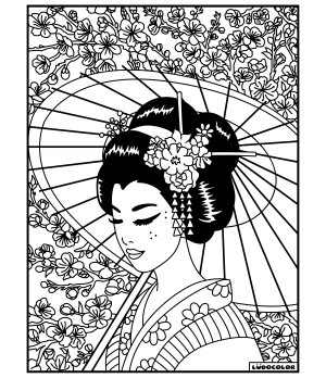 LA GEISHA - Tableau velours et son Ludoguide - Ludocolor