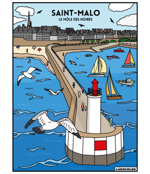 SAINT MALO - Tableau velours et son Ludoguide - Ludocolor