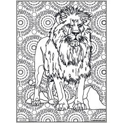 LE LION - Tableau velours et son Ludoguide - Ludocolor