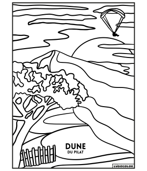 DUNE DU PILAT - Tableau velours et son Ludoguide - Ludocolor