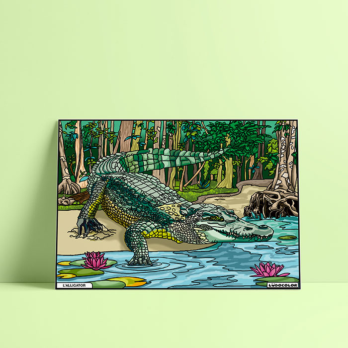 Coloriage velours Alligator