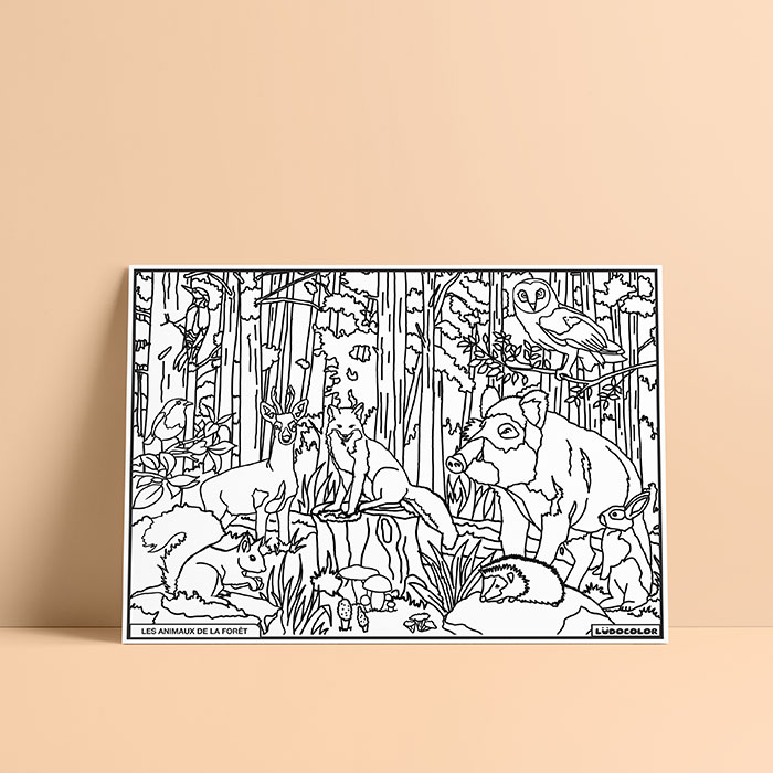 Coloriage velours les animaux de la forêt