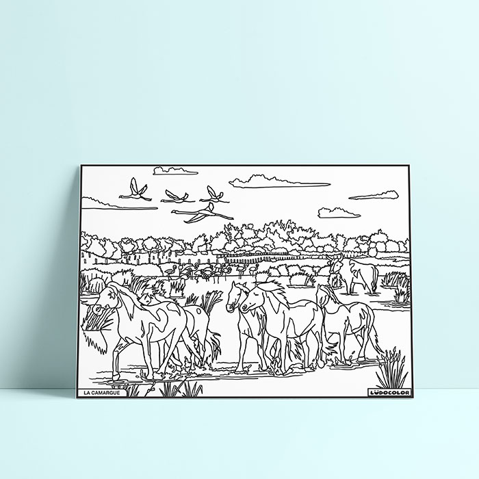 Coloriage velours Camargue