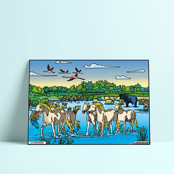 Coloriage velours Camargue