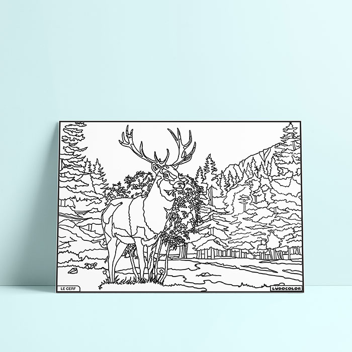 Coloriage velours Cerf
