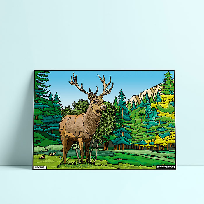 Coloriage velours Cerf