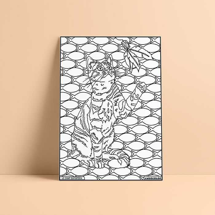 Coloriage velours Chat