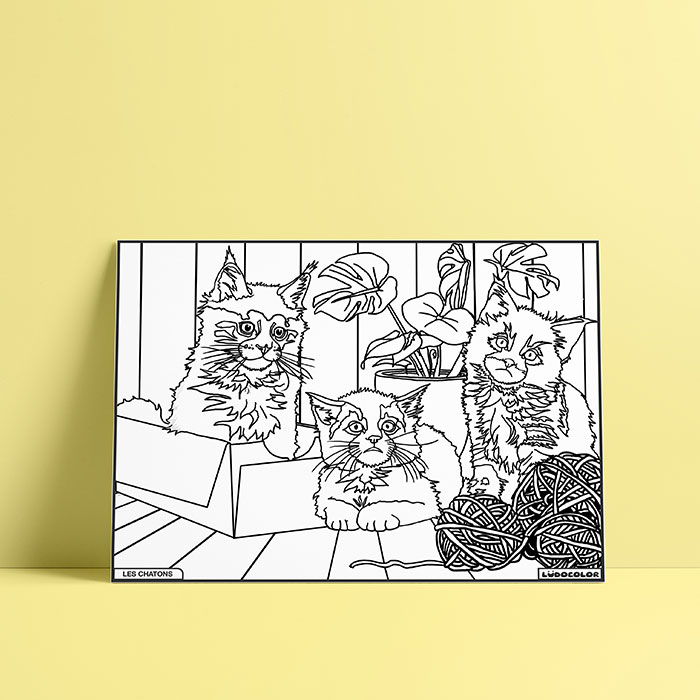 Coloriage velours chatons