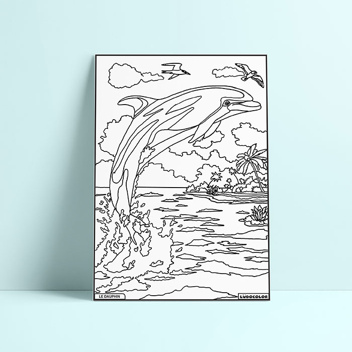 Coloriage velours dauphin