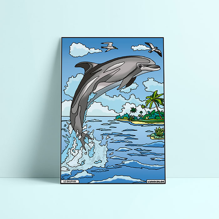 Coloriage velours dauphin