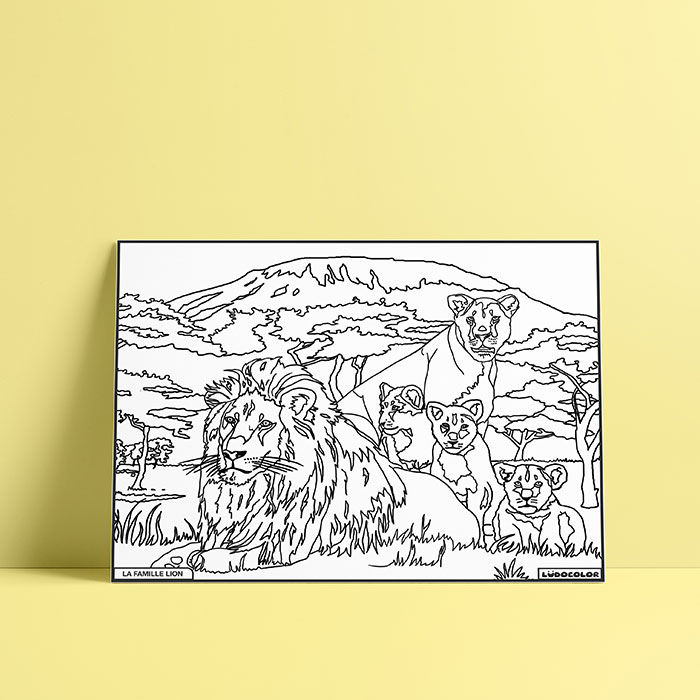 Coloriage velours Lion