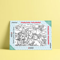 Coloriage velours Lion