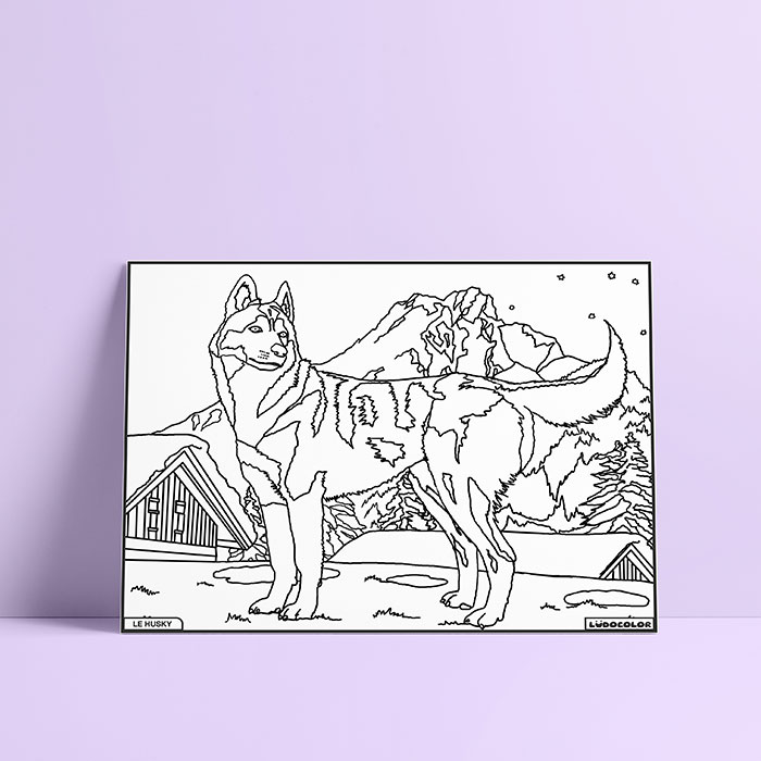 Coloriage velours husky