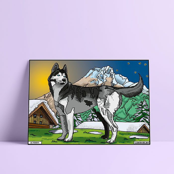 Coloriage velours husky