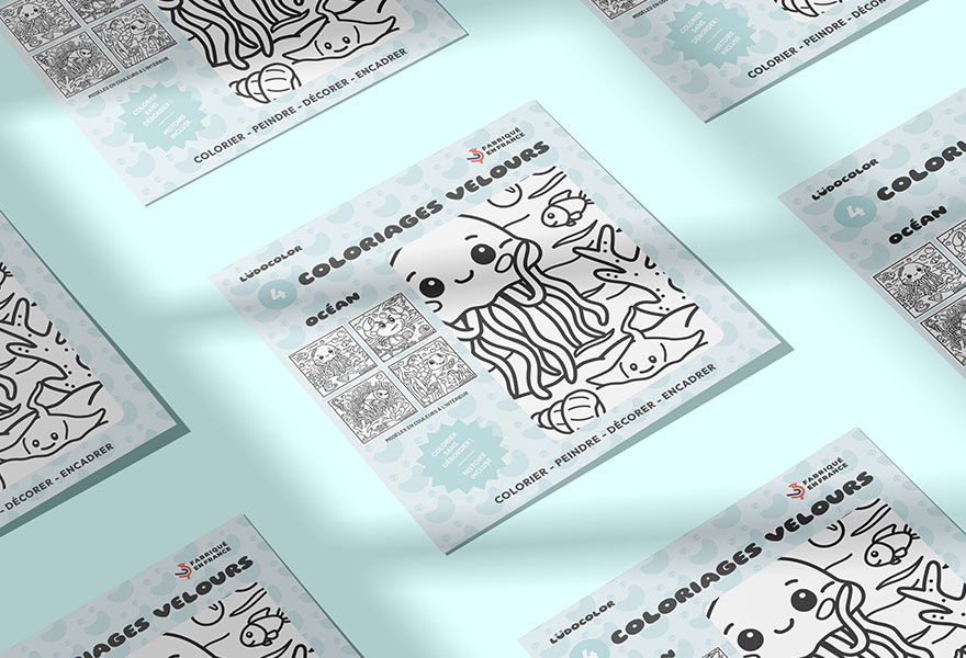 Lot de 4 tableaux velours - Ludocolor