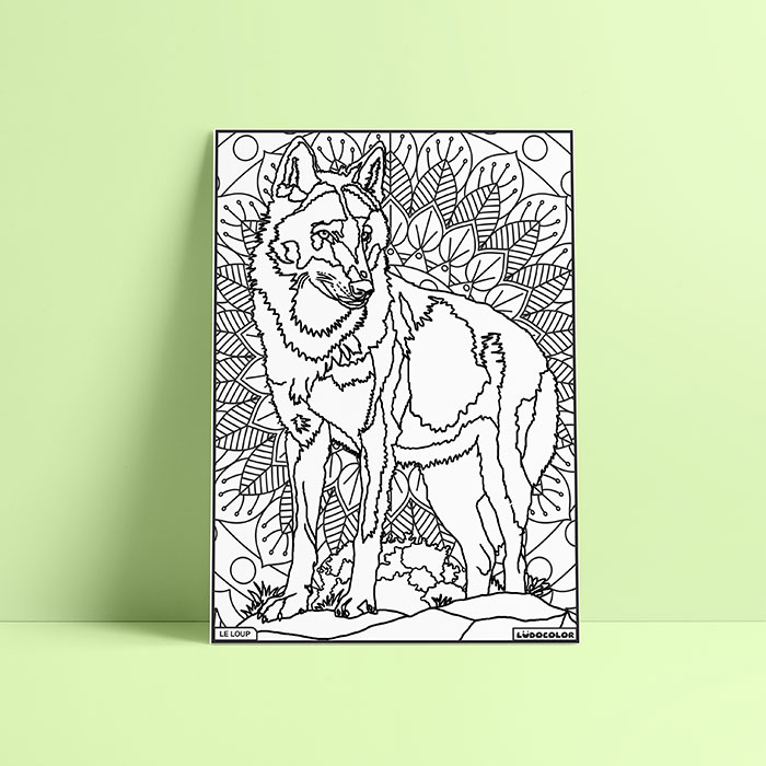 Coloriage velours loup
