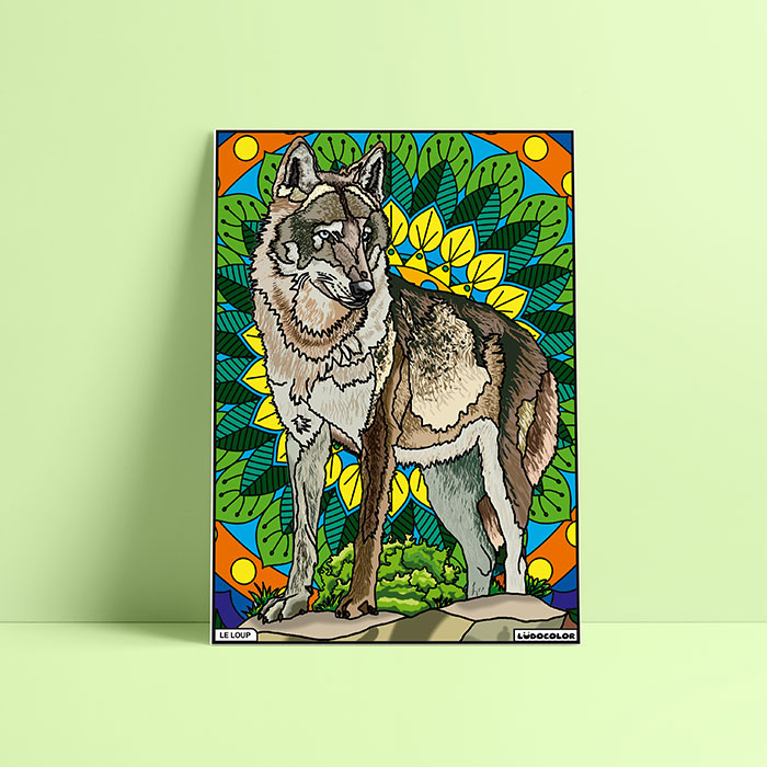Coloriage velours loup