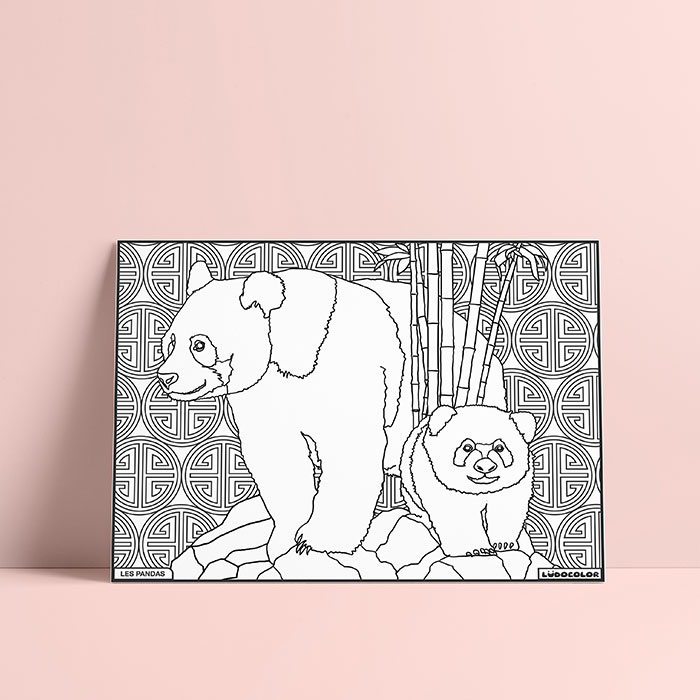 Coloriage velours panda