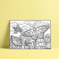 Coloriage velours papillons