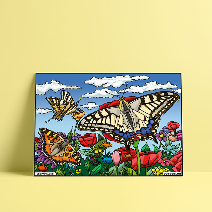Coloriage velours papillons