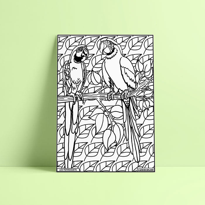 Coloriage velours perroquet