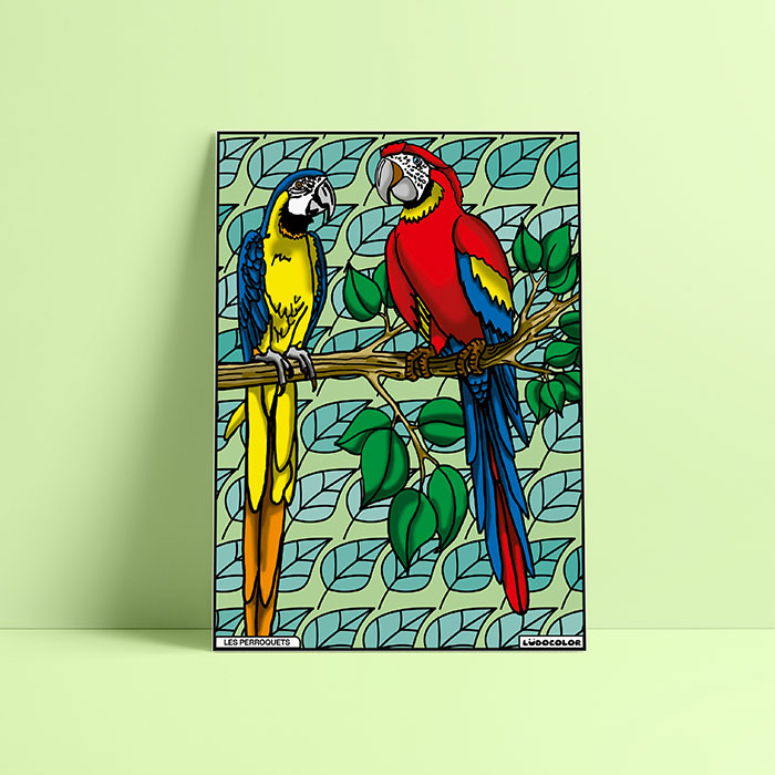 Coloriage velours perroquet