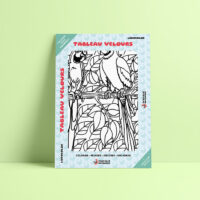 Coloriage velours perroquet