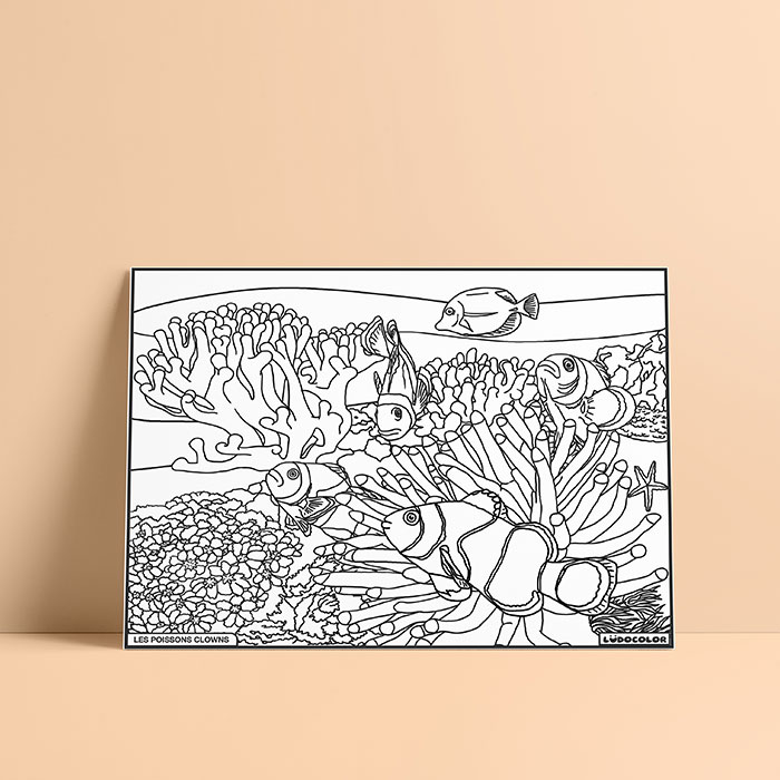 Coloriage velours poissons clown