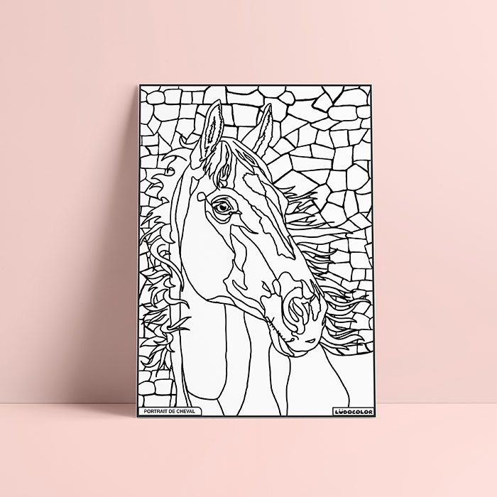 Coloriage velours cheval