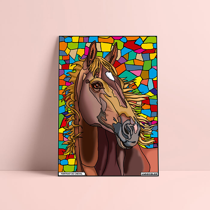 Coloriage velours cheval