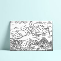 Coloriage velours requin