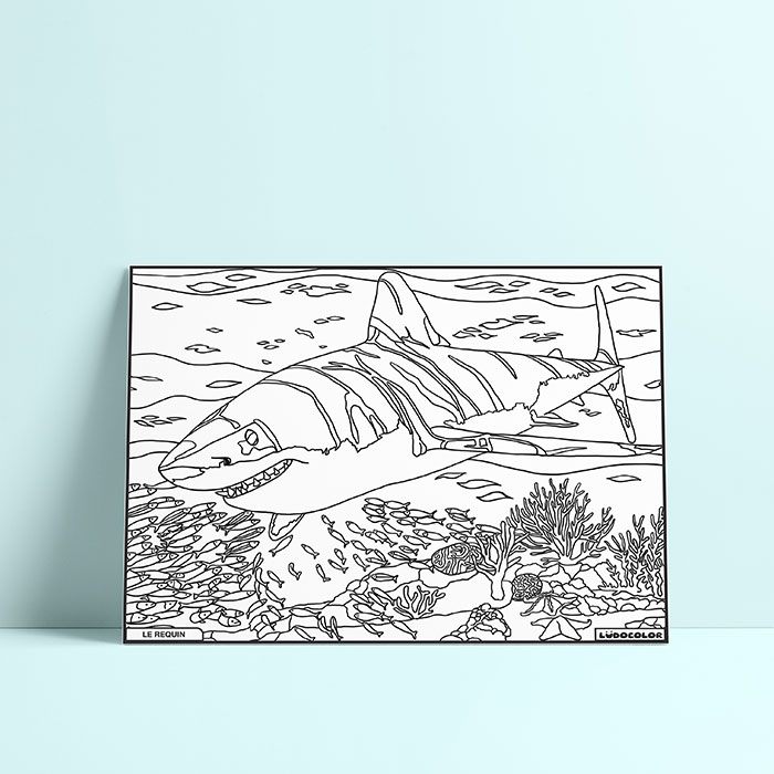 Coloriage velours requin